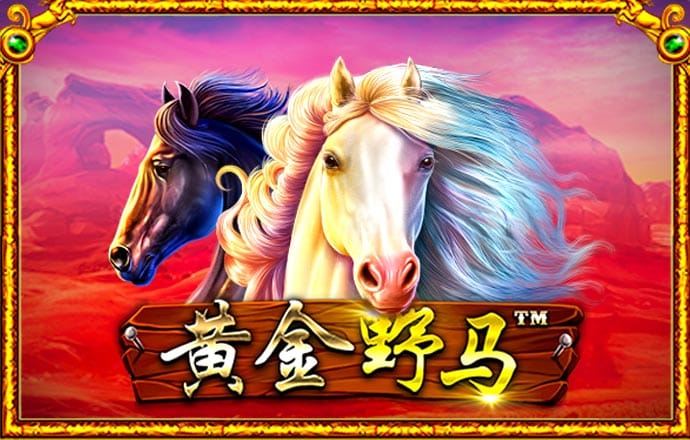 ky50官网下载ios